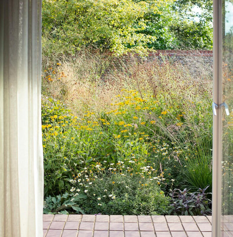 beplantingsplan, beplantingsplan tuin maken